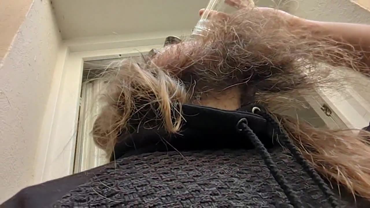 2023-04-11 (1) - (Live sans titre) - Twitch Meutemediatique