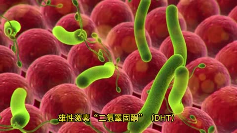 台灣男性1/5禿頭！ 「5類食物」還你濃密髮