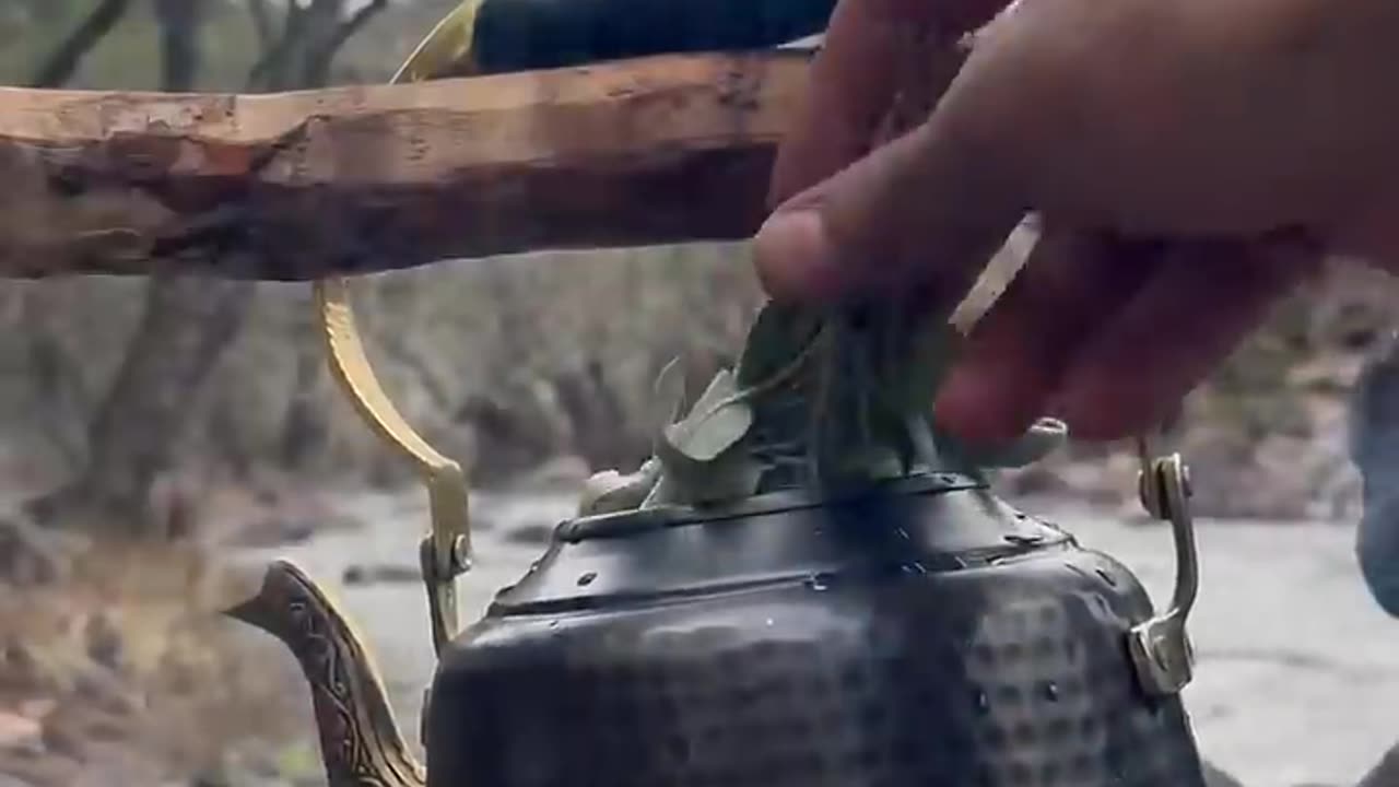 Rosted whole chicken in nature