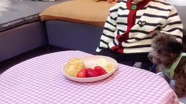 #babiesofrumble #cute #cutebaby #trending #fyp #foryou #baby #foryou #cute #baby