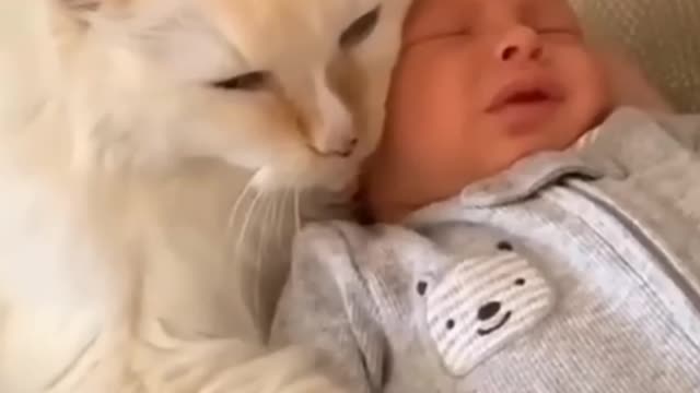 Funny cat & baby🙀 I love cat 🤡👻 | funny baby fails 🤩