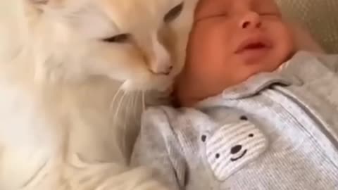 Funny cat & baby🙀 I love cat 🤡👻 | funny baby fails 🤩