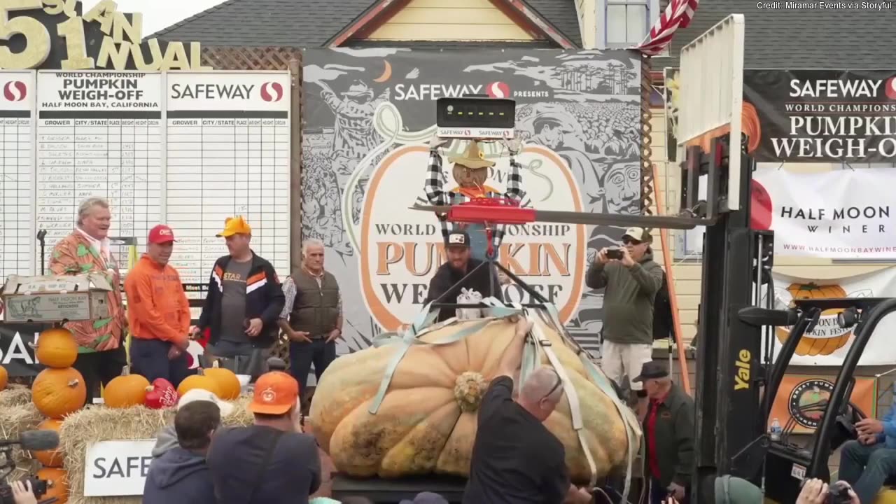 Pumpkin weigh-off gives world record holder another victory