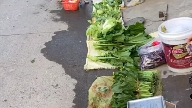 what a smart dog who can buy vegetables for its owner