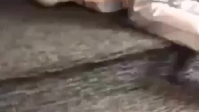 Little slap doesn't kill