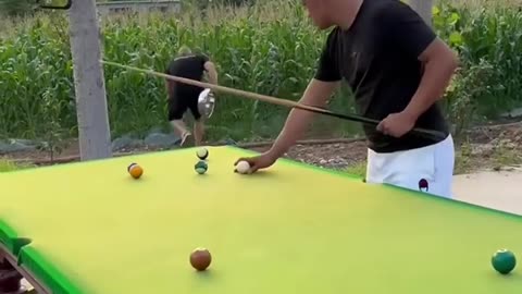 🤣🤣 Funny video billiards