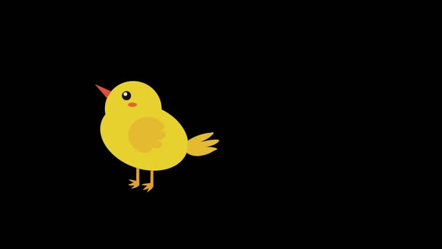 simple flat style animation cute animal chick mg