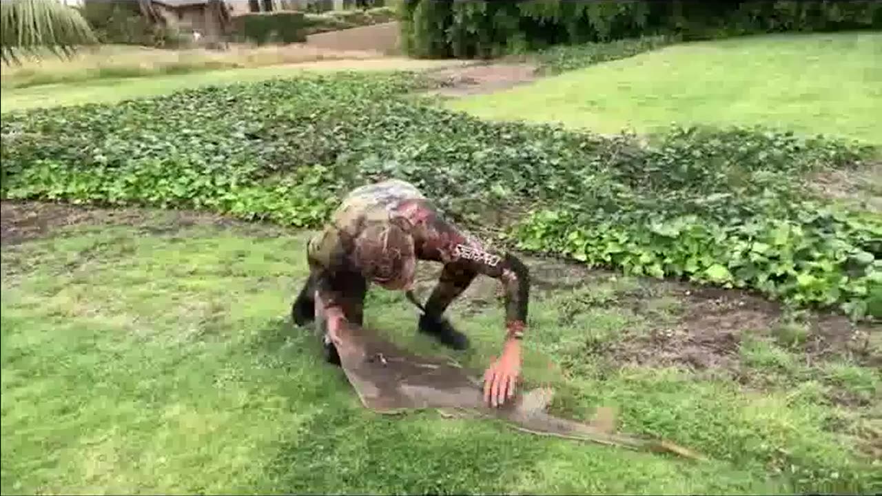 Shocked horrible video | no would believe it