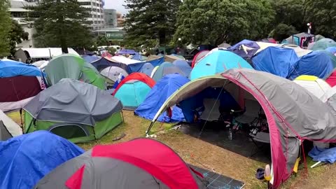 New Zealand police clash with vaccine protesters