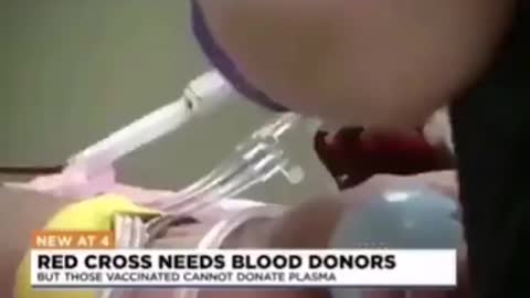 Vaccinated Can’t Donate Blood, COVID Vaccine Wipes Out Antibodies – Red Cross