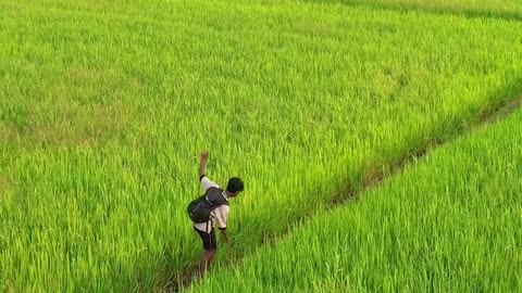 Heaven_🏡🫶🏻_#kerala🌴Location⬇️ . . . . . . . . . . . . . . . . . . . . . . 📍Kainakary_,_Alleppey_🫶