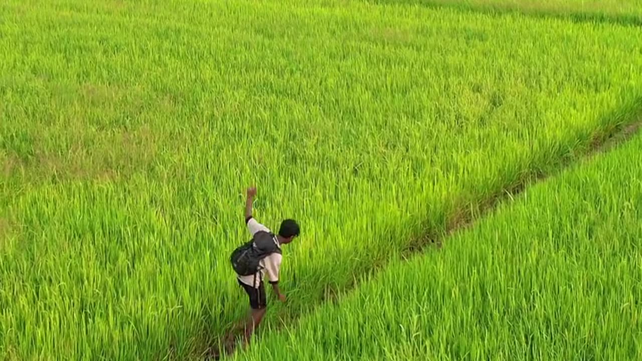 Heaven_🏡🫶🏻_#kerala🌴Location⬇️ . . . . . . . . . . . . . . . . . . . . . . 📍Kainakary_,_Alleppey_🫶