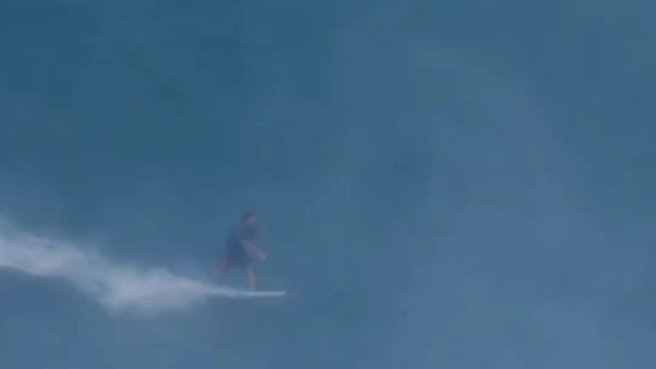 KING OF THE SWELL