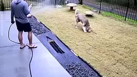 Man relaxing with dog comforts grieving Neighbor