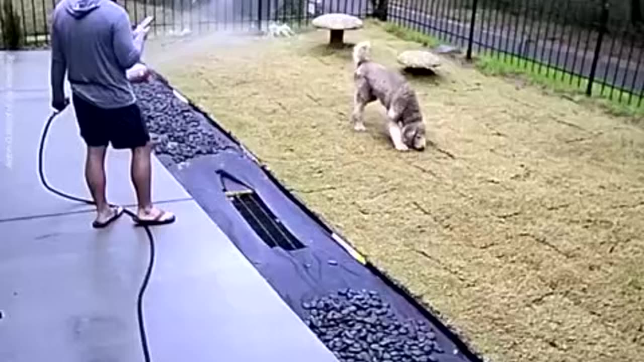 Man relaxing with dog comforts grieving Neighbor