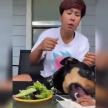 Her Vegan Dog Flips