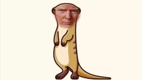 The Ultimate Donald Trump Meerkat Meme!