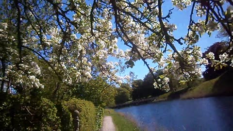 Citadellvägen och invid vallgraven. Landskrona 15 Maj 2015