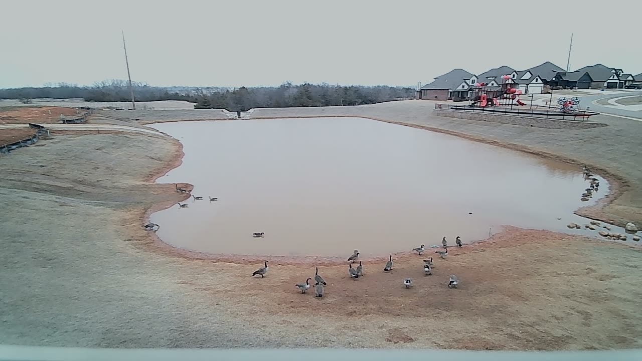 The Pond