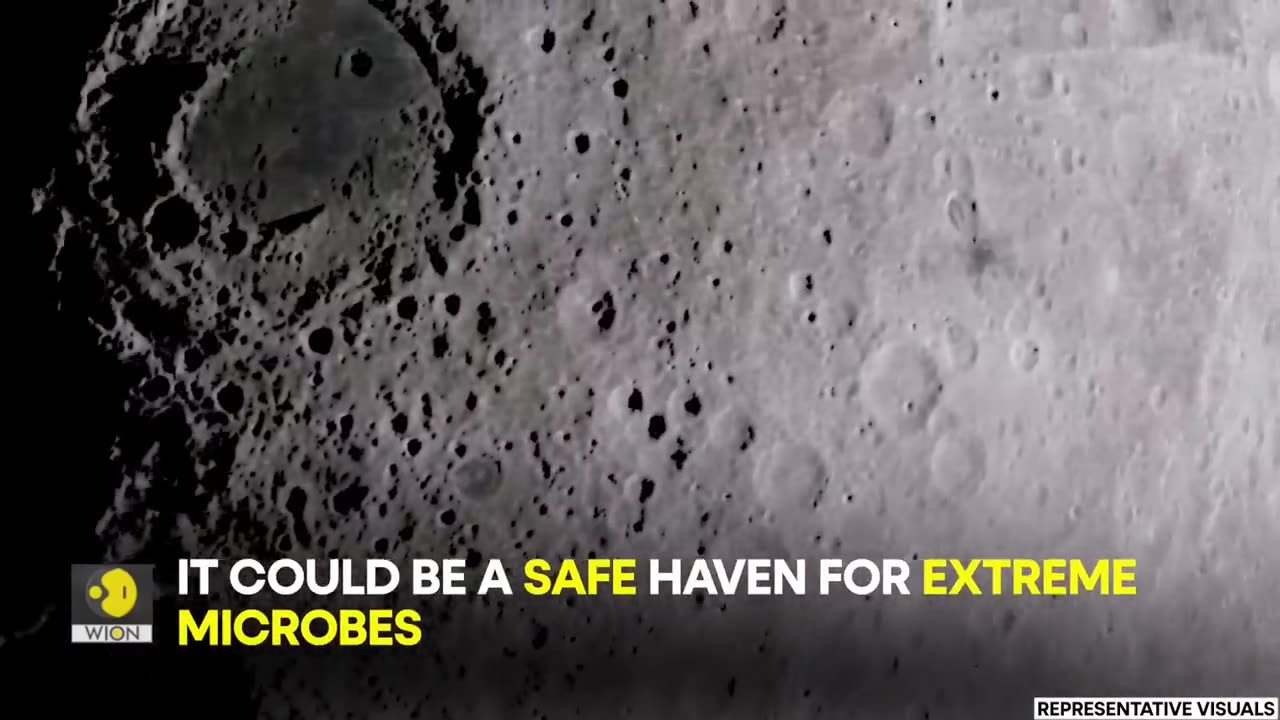 Nasa scientict admit that the moon might already have life on it.