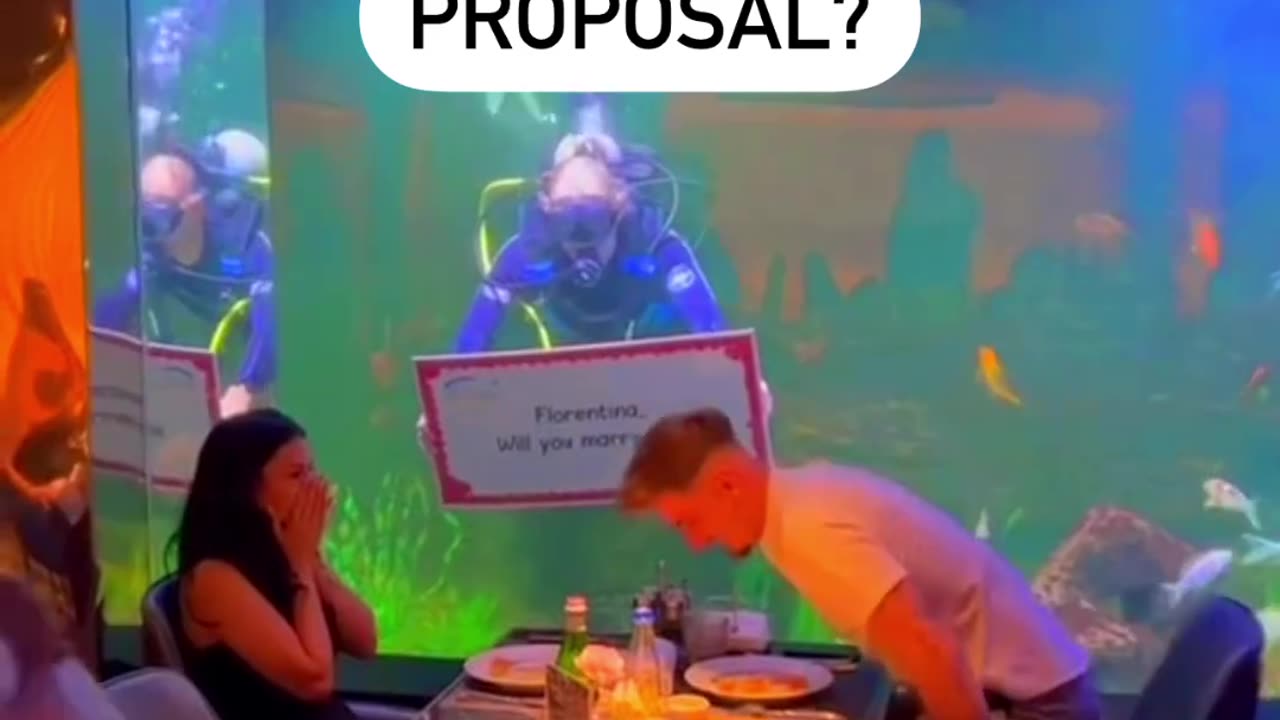 Is this the perfect proposal?