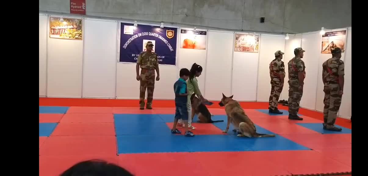 Cisf demonstrating their trained dogs