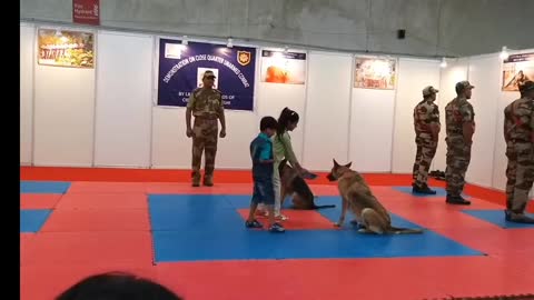 Cisf demonstrating their trained dogs