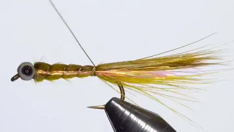 This is a beautiful and charming water-dwelling species