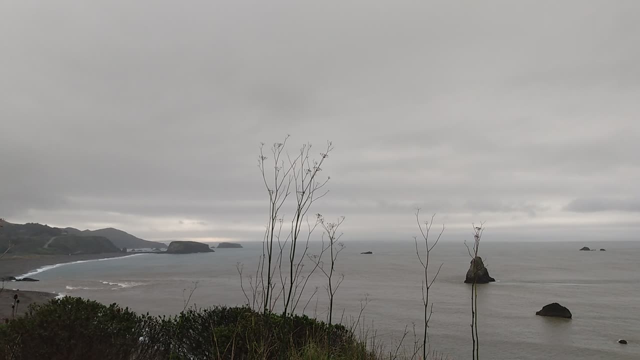 Foggy Cali Coast