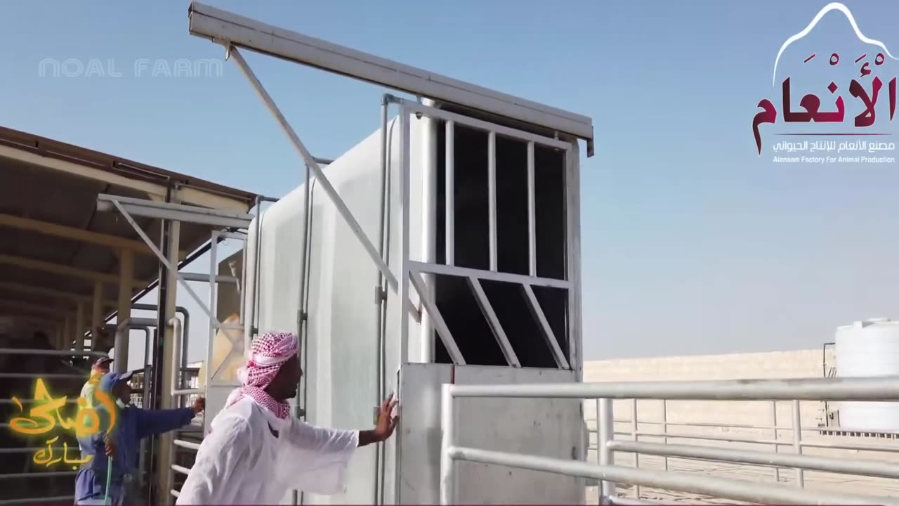 Modern Camel Meat Processing Factory 🐪 - Camel Farming Technology Produces Meat and Milk 🐫