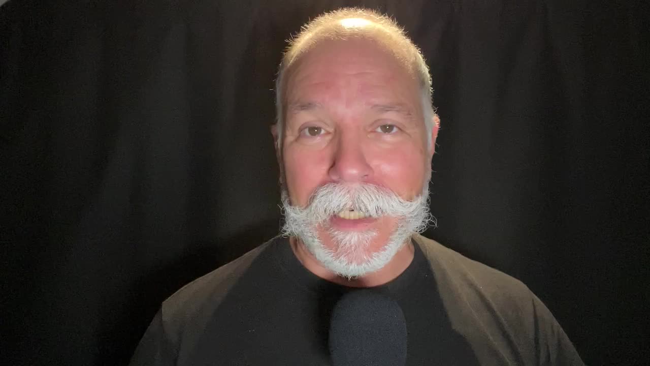 CUCARACHAS 🪳 CHIHUAHUAS 🐩 ELEFANTES🦣 APROPIANDO CULTURA