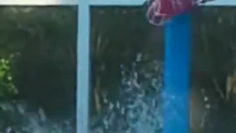 Cameron's dunks 6.7.15