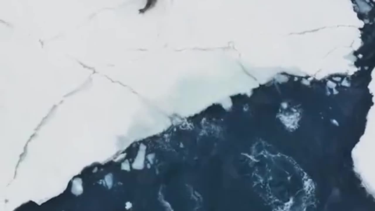 How to get Amy is the most likely to get the results of and