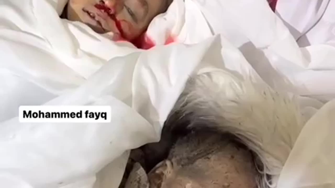 #شاهد| مشهد مؤلم لأطفال شهداء قتلهم الاحتلال خلال مجازر ارتكبها في الساعات الأخيرة بقطاع غزة.