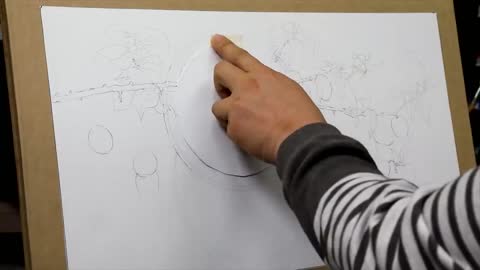 Delicate flower painting painting process 1