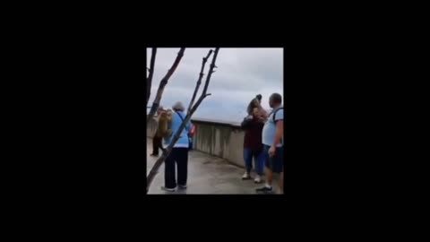 Funny videos 2023