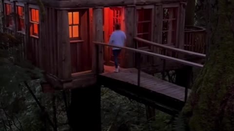 The appearance of the dream love house