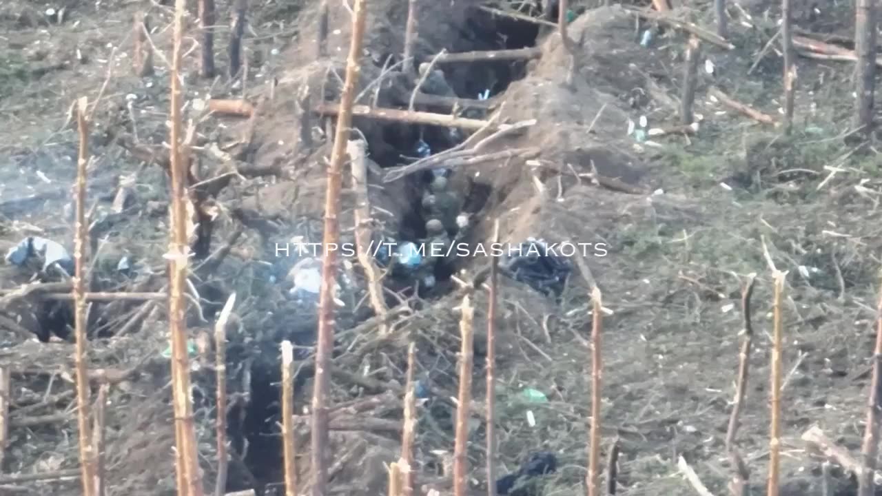 Incroyable exploit d'Alexandre Maltsev, qui a capturé à lui seul le milieu de terrain défensif 🇺🇦