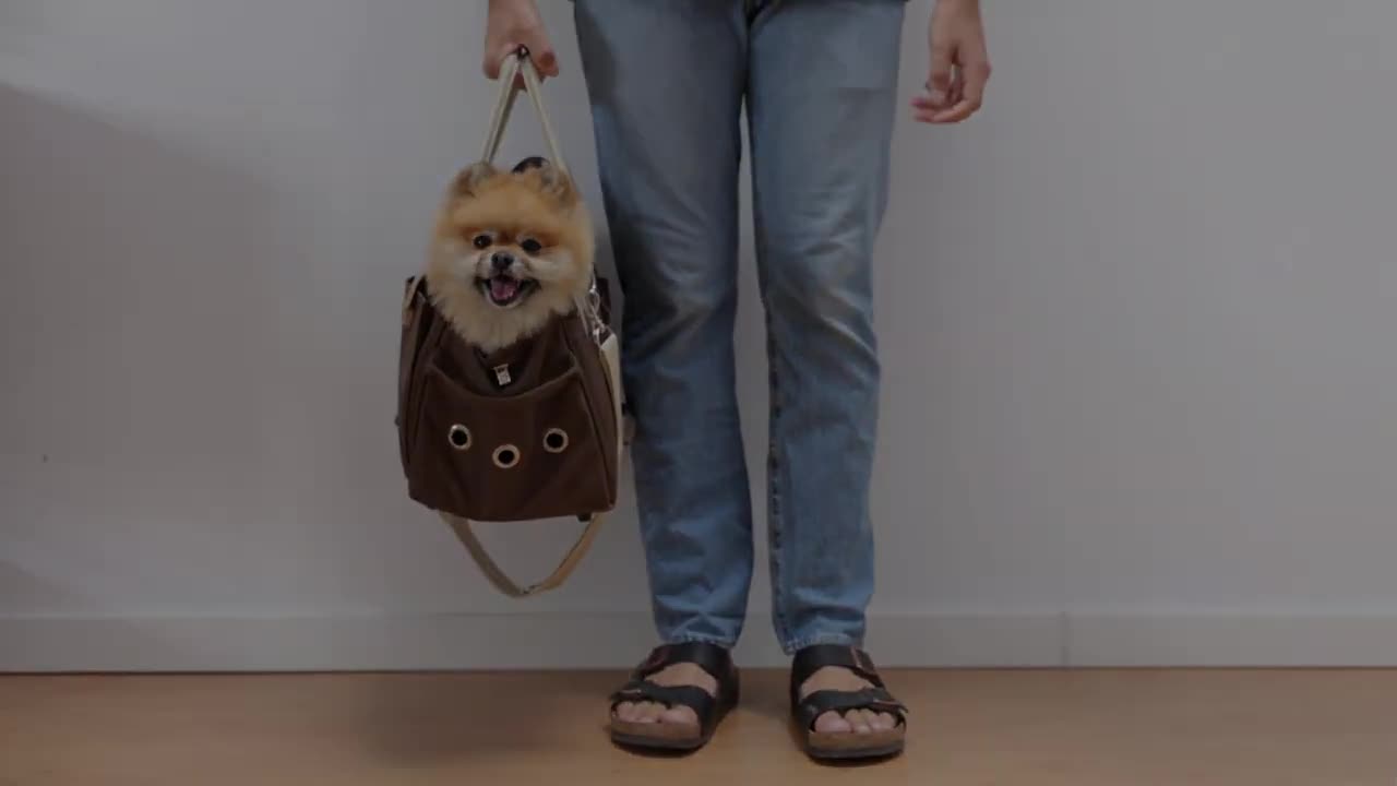 dogs being dogs lmao [hahahahahahahahaha}