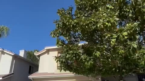 Chino Hills 3 Bed 2.5 Bath