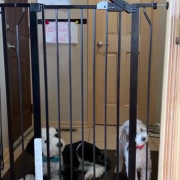 The big one like how you did that🤣