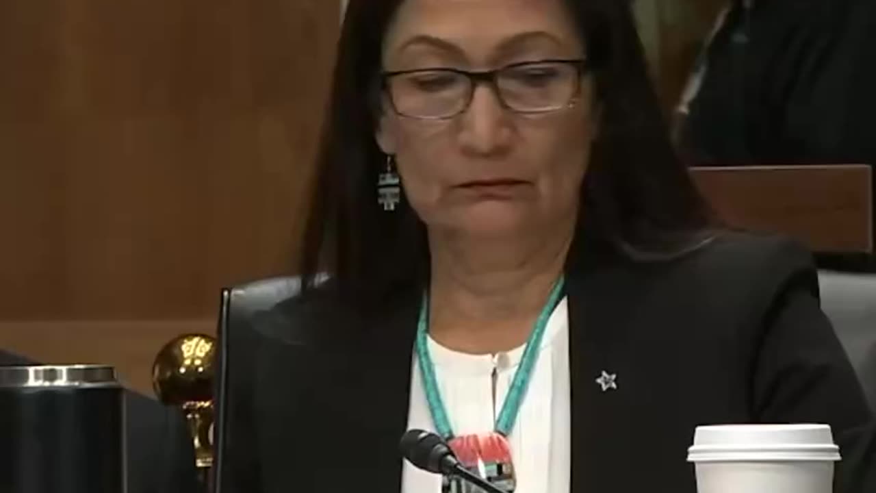 JOSH HAWLEY — "Are you telling me we have TOO MANY JOBS IN THIS COUNTRY?"