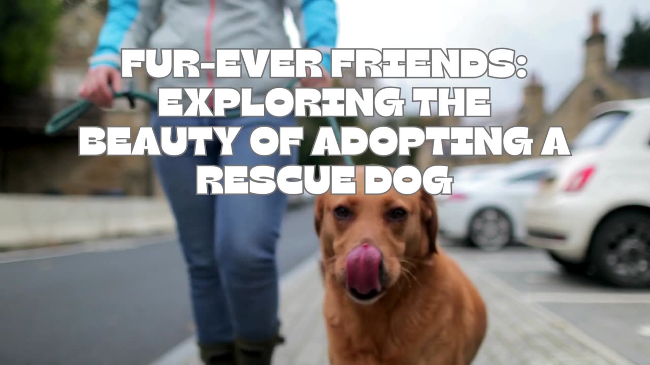 "Top Reasons Why You Should Get a Rescue Dog"