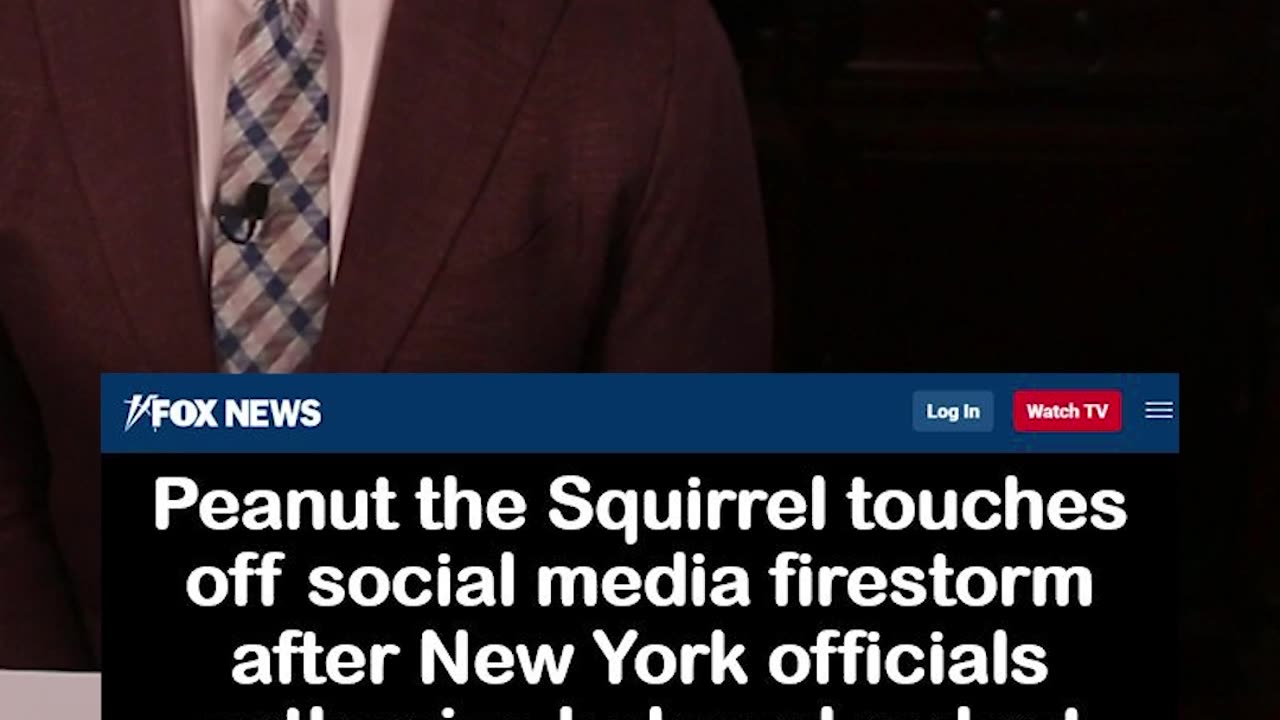 Pet Squirrel Touches off Social Media Firestorm after New York Officials Euthanize It