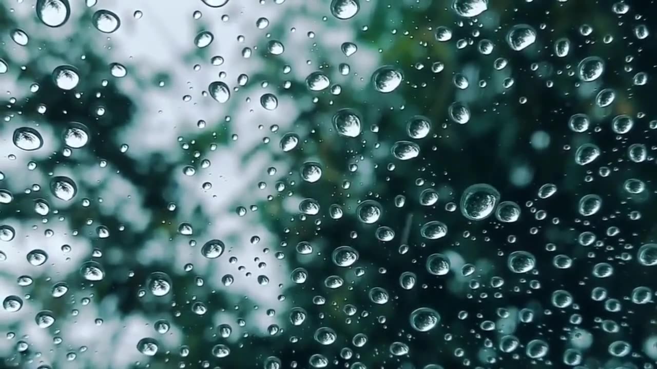 Rain Waves| Episode 6: Light Rain and Wind (ASMR) #asmr #asmrsounds