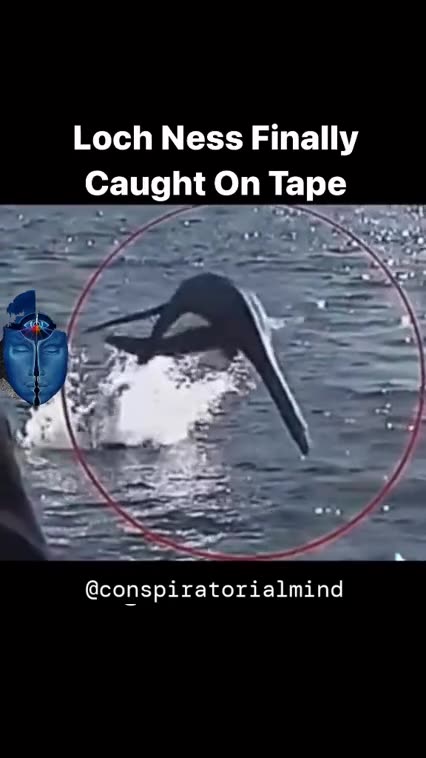THE LOCH NESS MONSTER 🦕 FINALLY CAUGHT ON TAPE