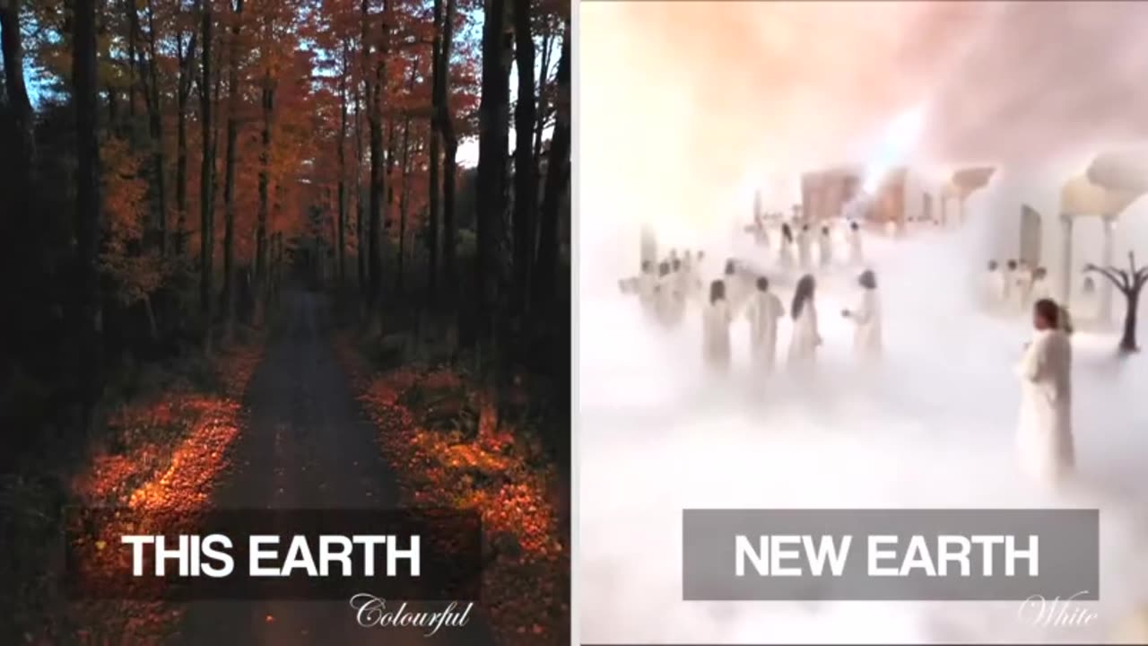 Will Animals Join Us On The New Earth? (Answers S2E7)- The Fuel Project