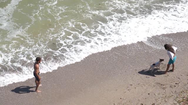 Playing with the dog on the sea