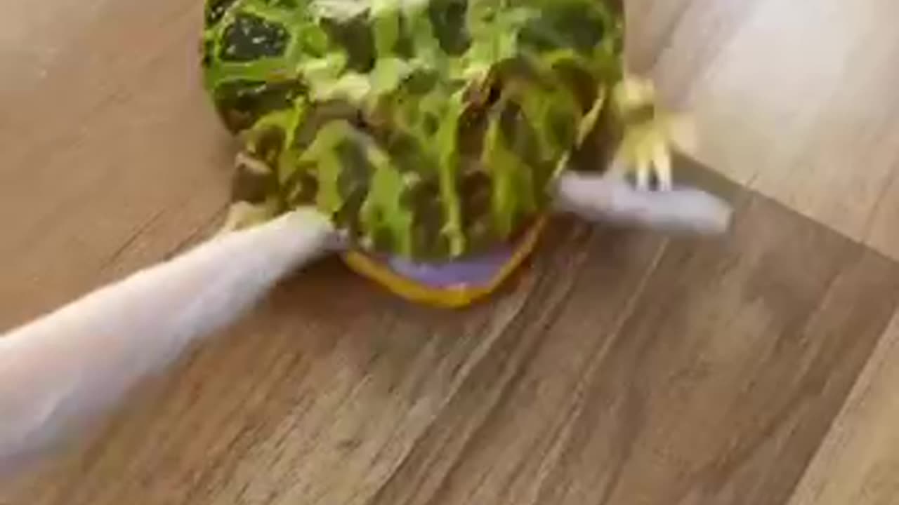 It’s not all fun and games 😂