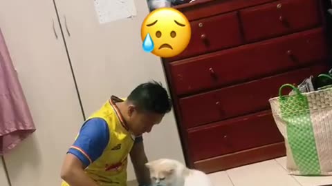 Kucing Mengikuti Yang sedang Shalat